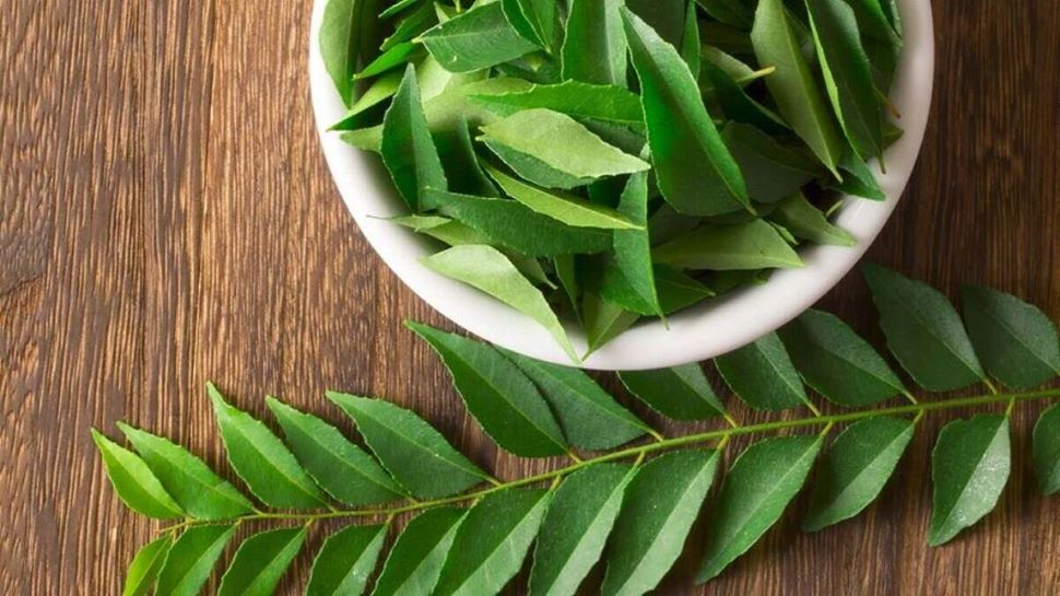 Hair Care Tips: Weak hair is disturbed? So use curry leaves in this way