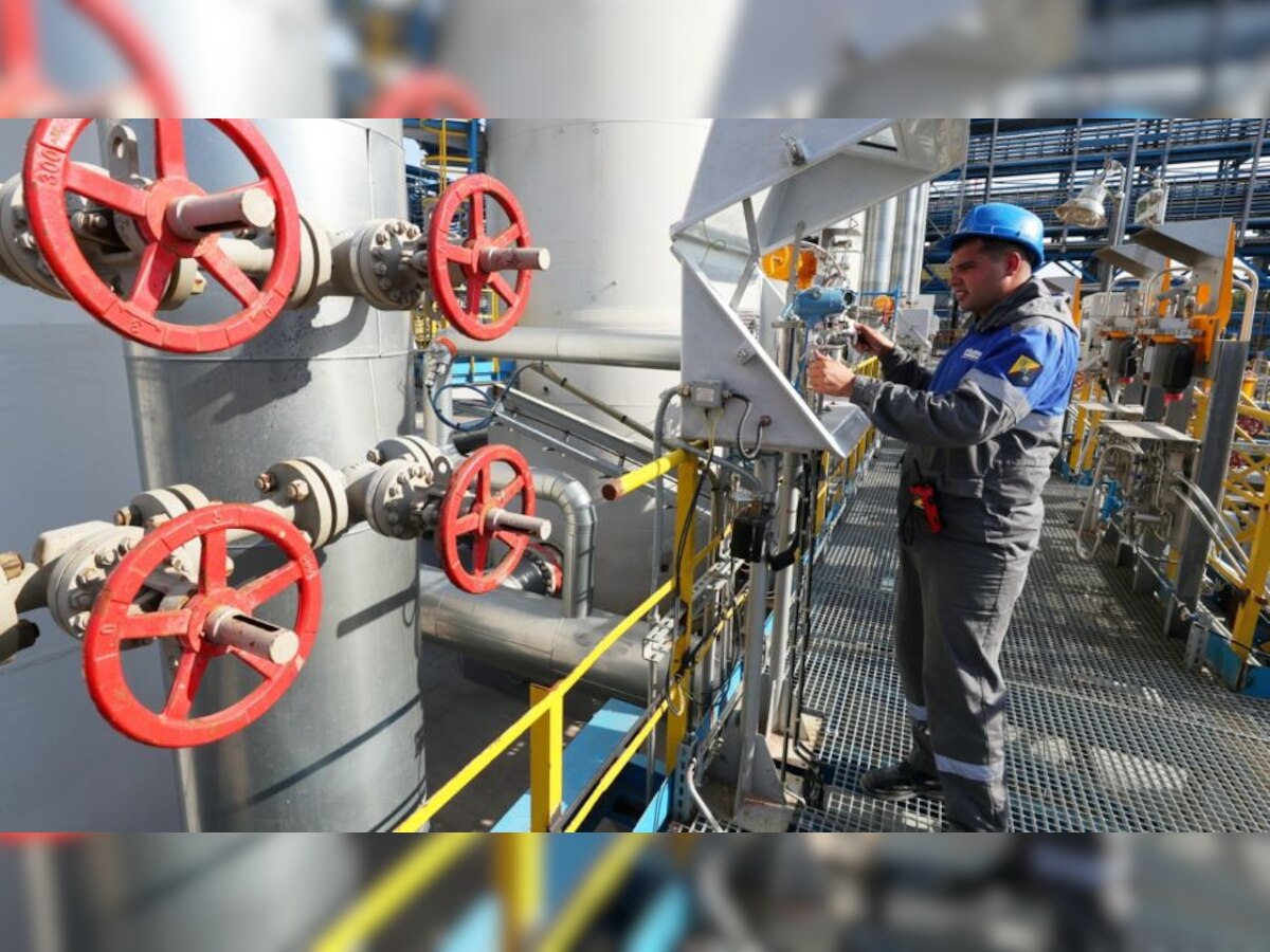 best multibagger stocks list sonal adhesives vcu data management abc