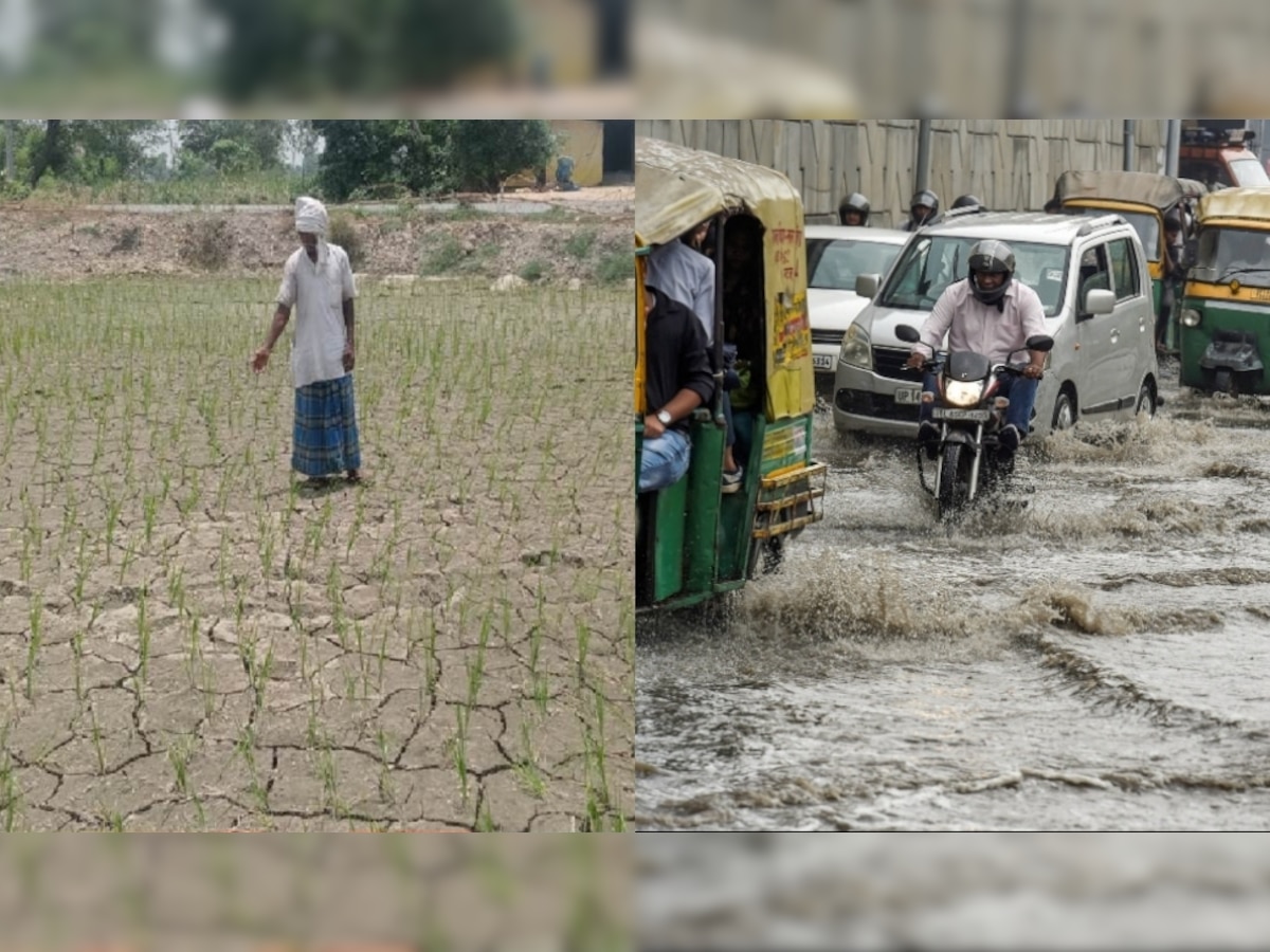 MP Monsoon Report : मध्य प्रदेश में भारी बारिश के बाद भी कई इलाकों में सूखा, सूची में शामिल हैं इन जिलों के नाम