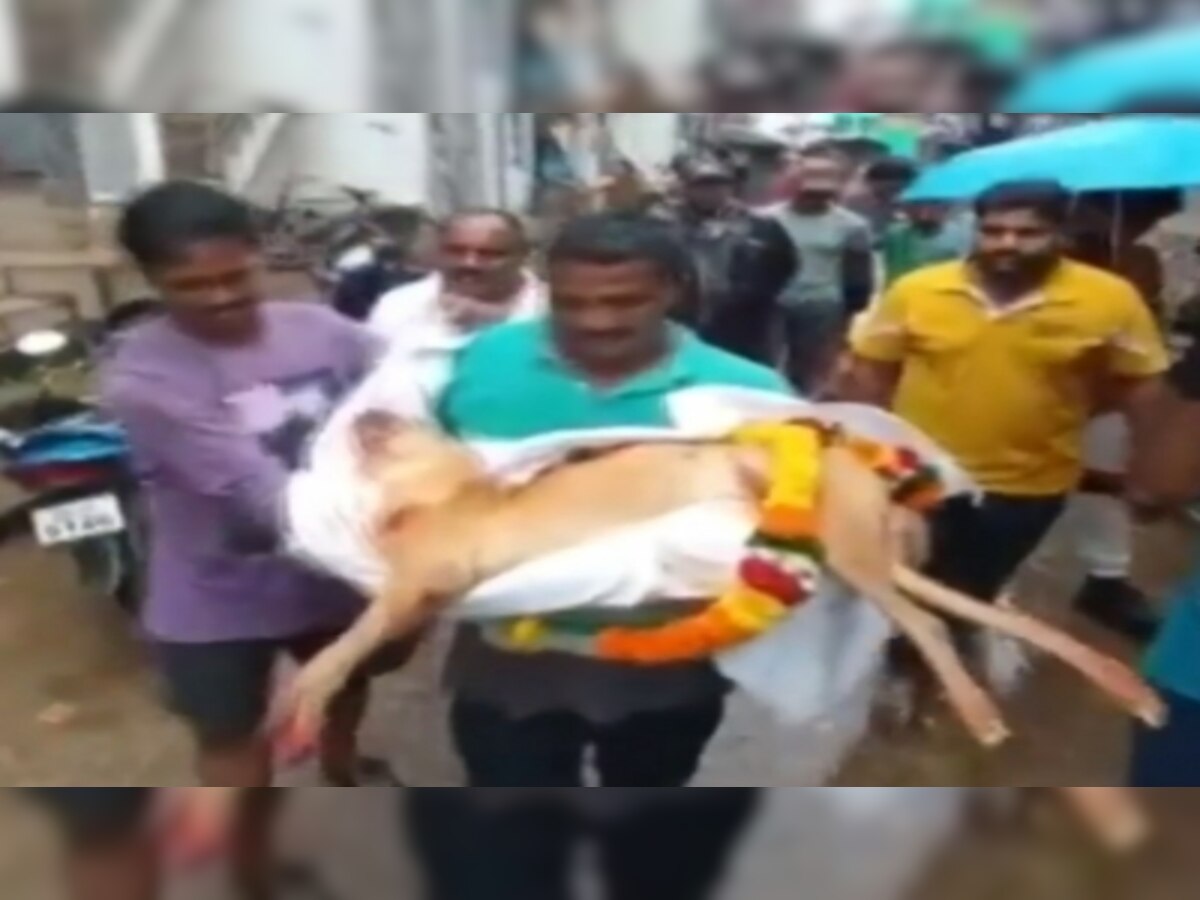 Funeral Procession: हिंदू रीति-रिवाजों के साथ कुत्ते का अंतिम संस्कार, बारिश के बावजूद बड़ी संख्या में पहुंचे लोग