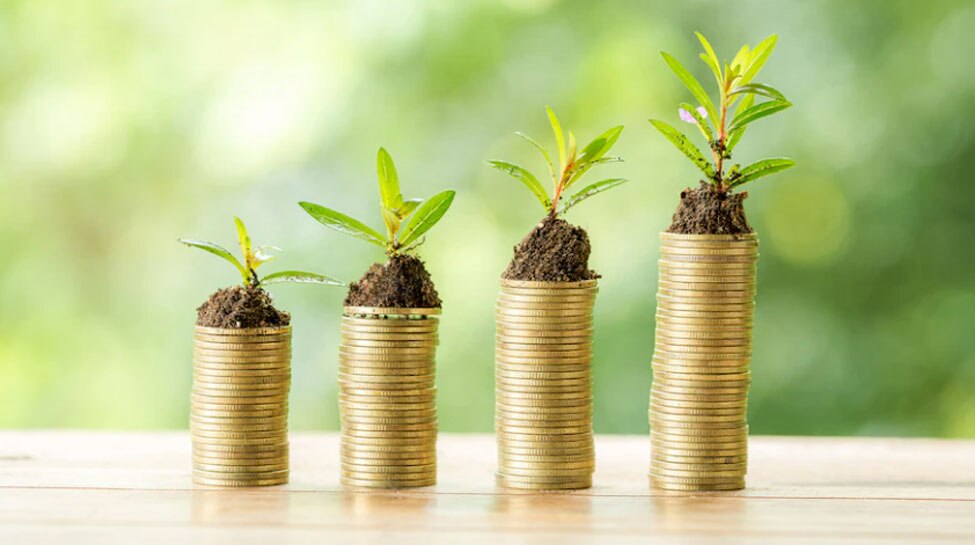Long Term Investment में इन बातों का रखें ध्यान, हड़बड़ाहट में न उठाएं ऐसा कदम