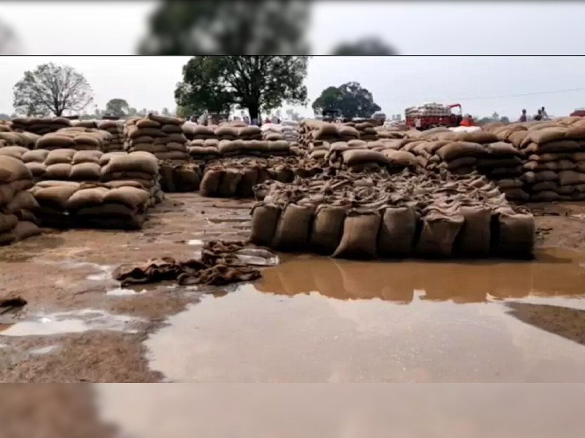 रेलवे प्रशासन की अनदेखी के चलते हर साल भीगता है लाखों टन गेहूं, अधिकारी इस मामले से बेखबर