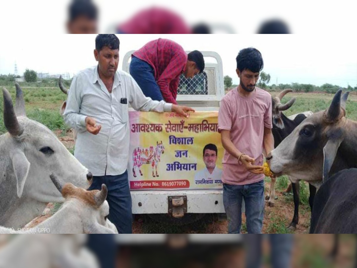 लंपी से गायों को बचाने के लिए भामाशाह मंडा की सराहनीय पहल,11 गौ सेवा रथ रवाना