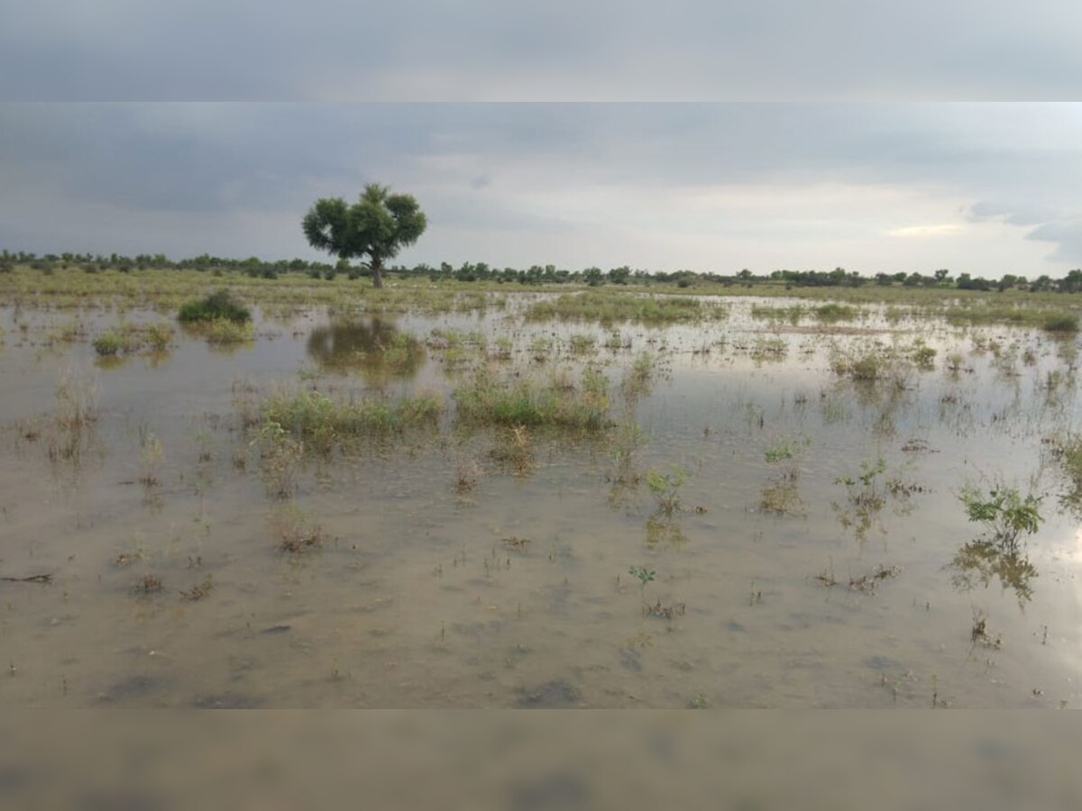 जोधपुर: ओसियां के चेराई-महादेवनगर में 4 KM में फैला पानी, मच्छरों से फैलेगी बीमारी