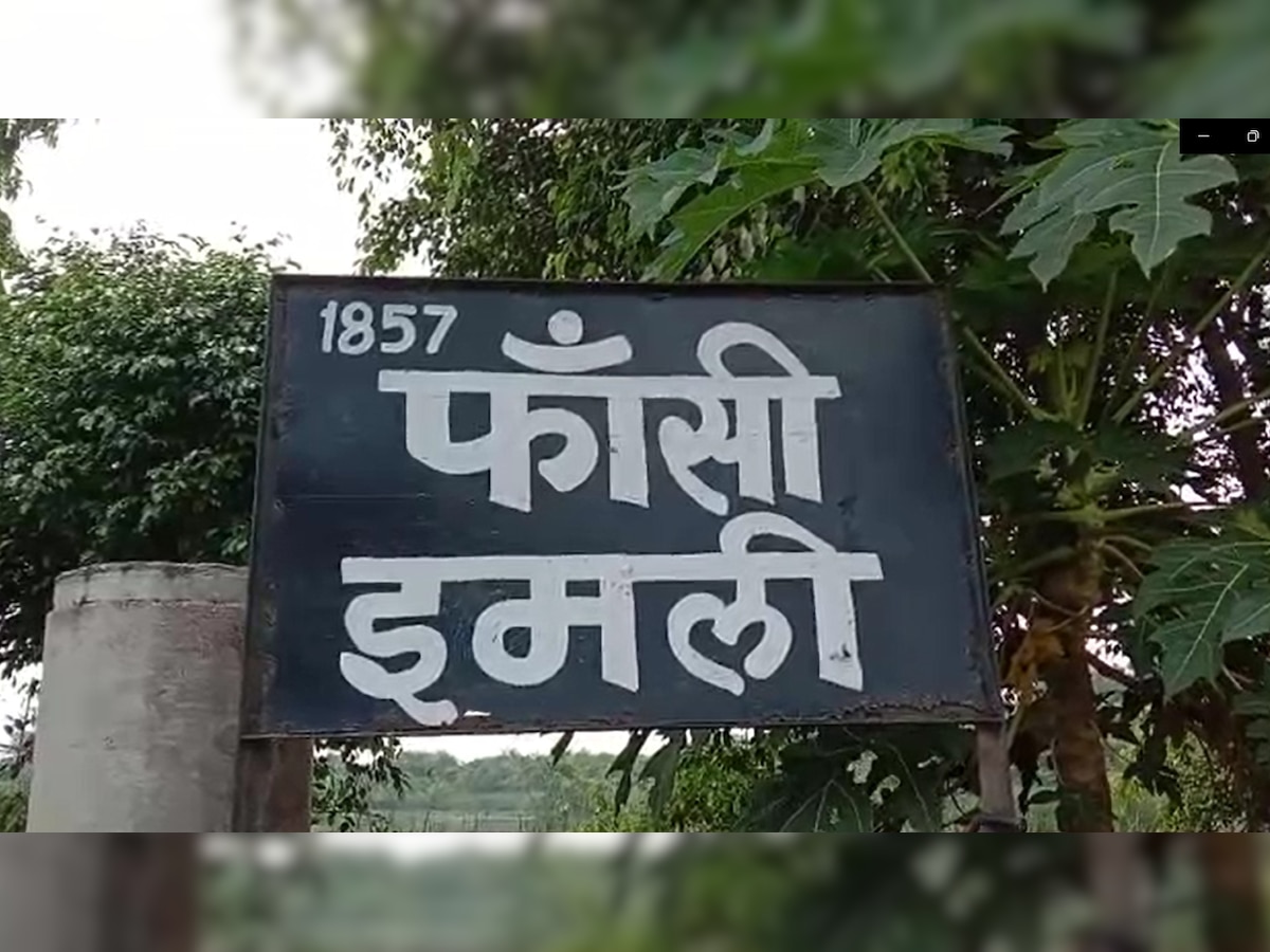 स्वतंत्रता दिवस 2022:UP के पेड़ों में छिपा है आजादी का रहस्य,अंग्रेजों से लोहा लेते समय ऐसे करते थे मदद