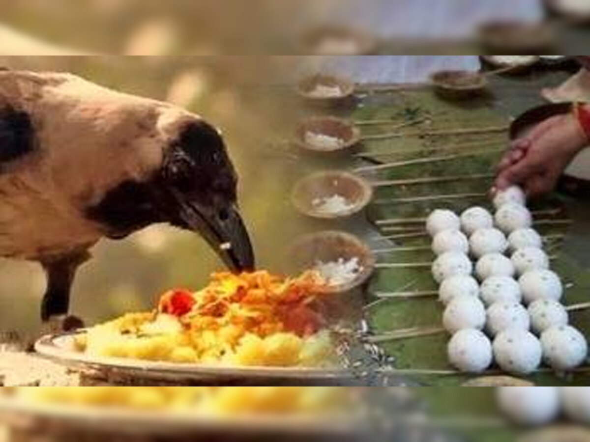 PITRU PAKSHA DOSH UPAY: पितृदोष के कारण लग जाता है उन्नति में ब्रेक, रुक जाता है भाग्योदय, तो कैसे खुश करें पितरों को