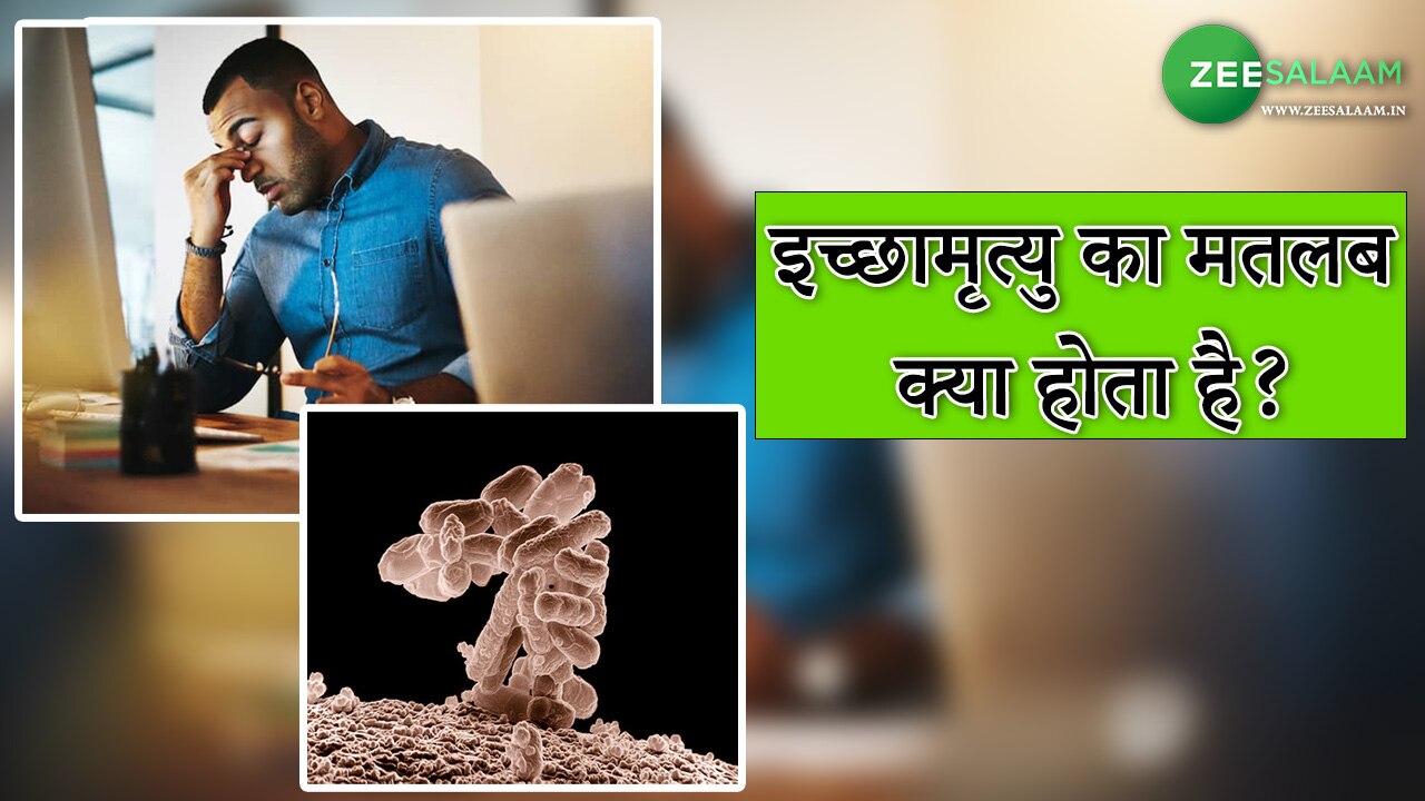 Euthanasia means Indian law what basis euthanasia case in india iccha