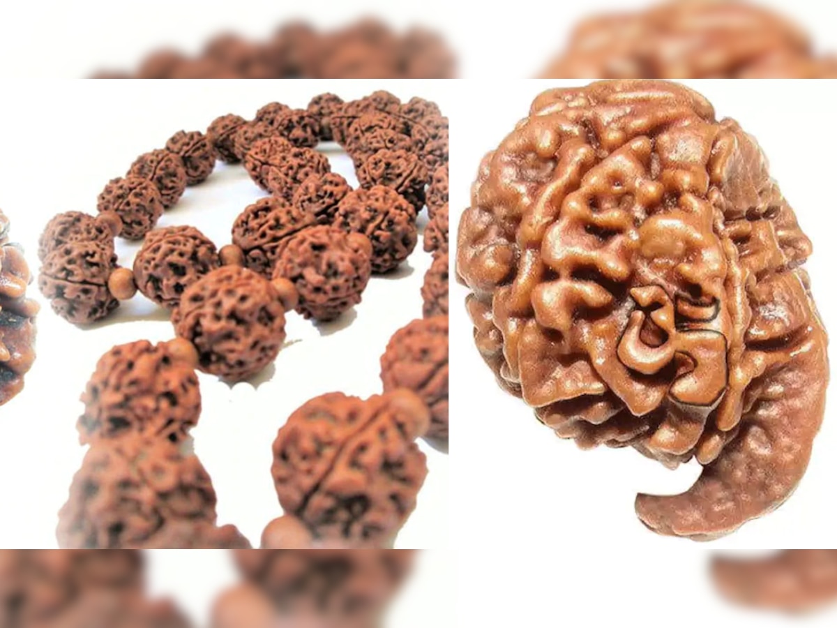 Ganesh Rudraksha: इस दिन धारण करें गणेश रुद्राक्ष, जीवन से दूर होगी सभी परेशानियां, जानिए धारण करने के नियम