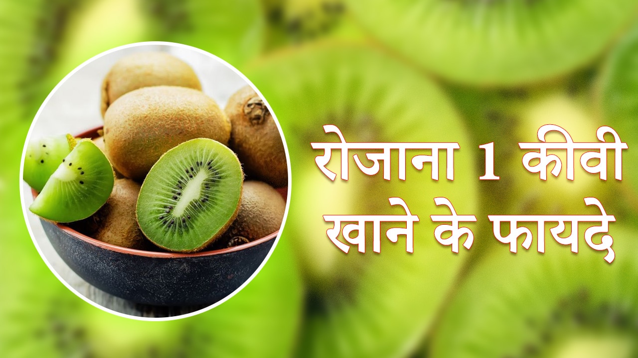 benefits of eating kiwi every day know health benefits of kiwi samp