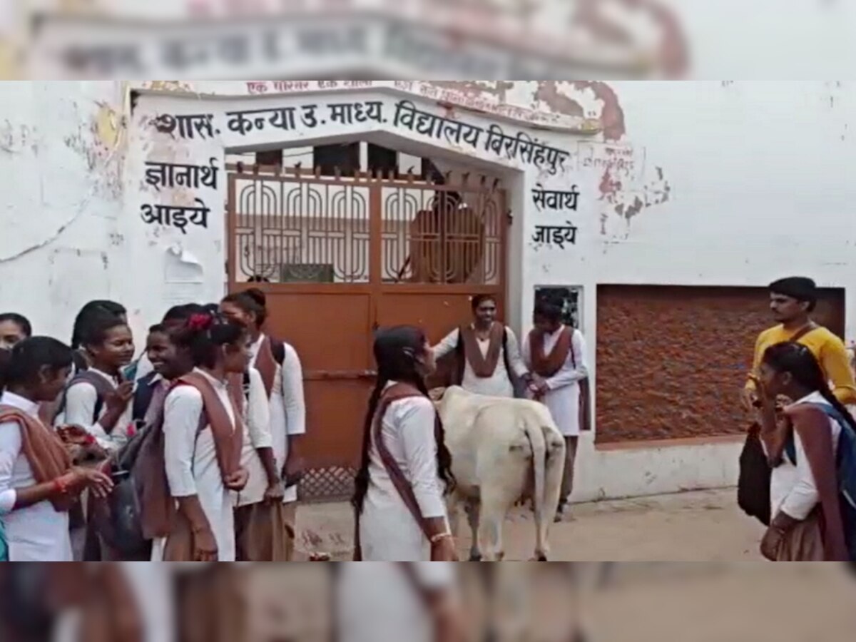 Satna News : मौत के डर से 13 सौ छात्राओं ने स्कूल भवन में लगाया ताला, बोलीं- शिकायत पर शिक्षक करेते हैं अभद्र व्यवहार