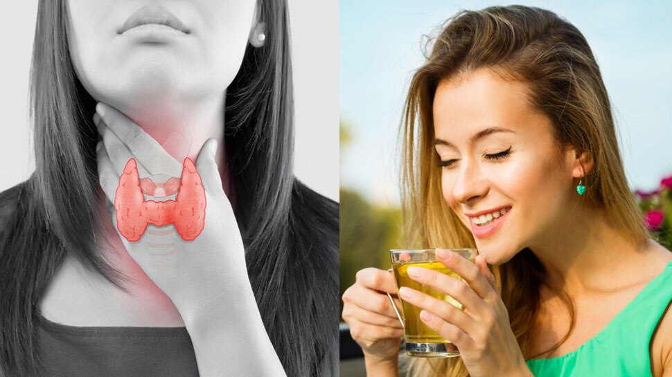 Herbal Tea For Thyroid: इस हर्बल टी को पीने से कम होगा थायराइड का जोखिम, टेंशन से भी मिलेगी निजात