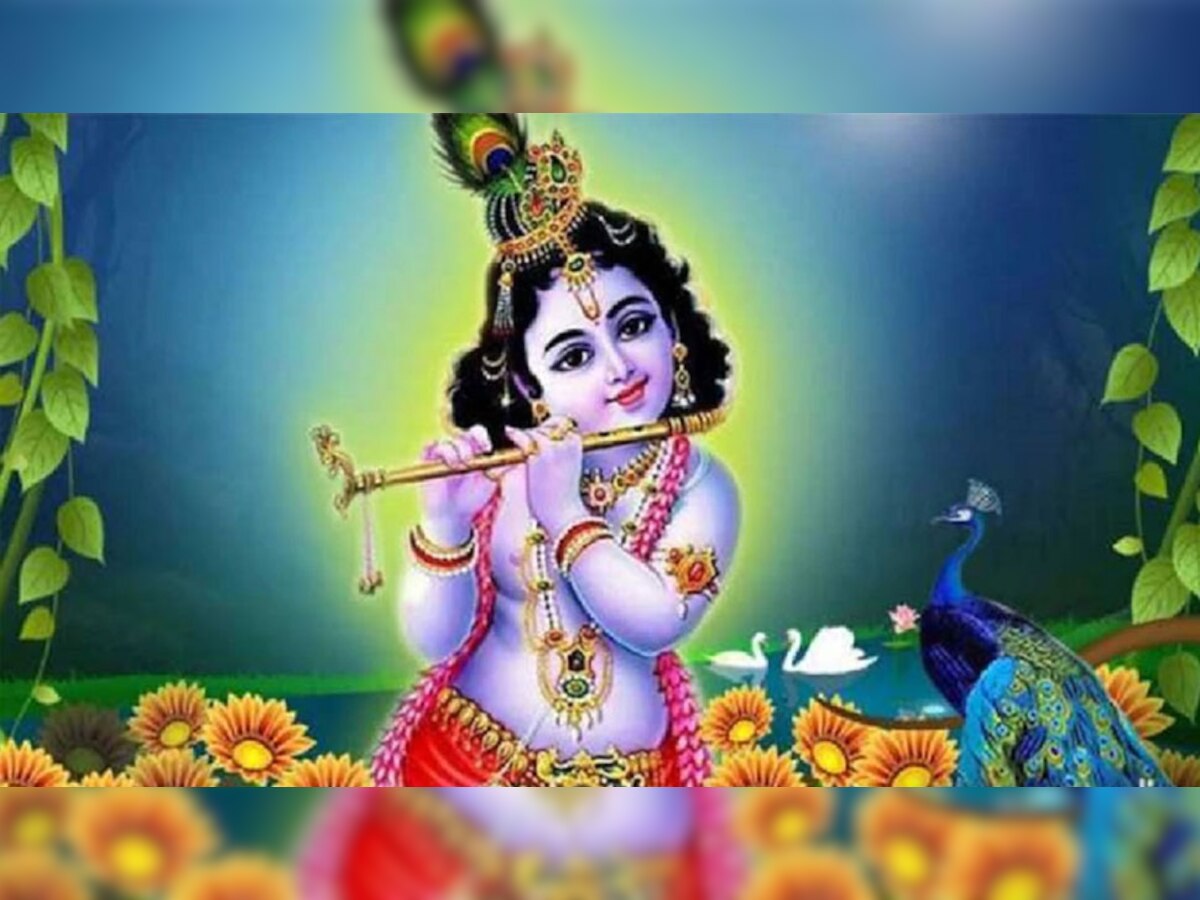 Janmashtami 2022 Live: गुजरात में जन्माष्टमी को लेकर धूम, बाजारों में बड़ी तादाद में लोग कर रहे हैं खरीदारी