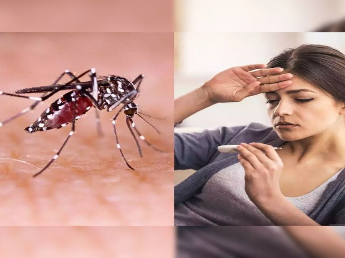 Dengue Fever: डेंगू होने पर महसूस होती हैं ये समस्याएं, भूलकर भी न करें नजरअंदाज