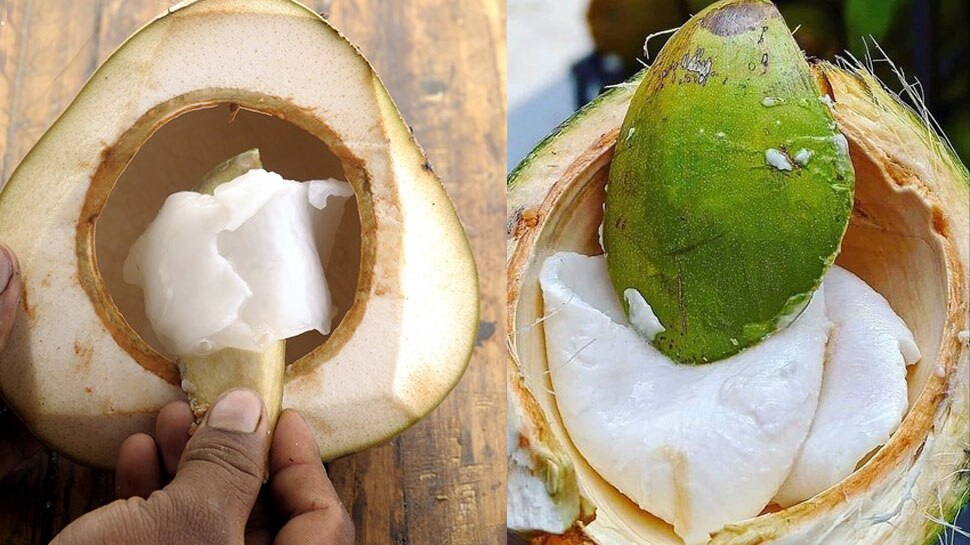 Tender Coconut Water with Cream Malai Benefits Weight Loss Digestion Energy  Immunity Facial Glow | Tender Coconut Cream: नारियल पानी पीने के बाद न  फेंके इसकी मलाई, फायदे जानने पर कभी नहीं