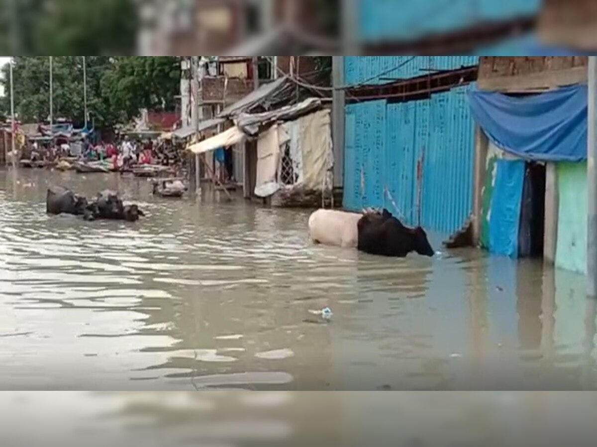 Prayagraj Flood:संगम नगरी में गंगा और यमुना का विकराल रूप, तीन दर्जन से अधिक इलाके बाढ़ से हुए जलमग्न 