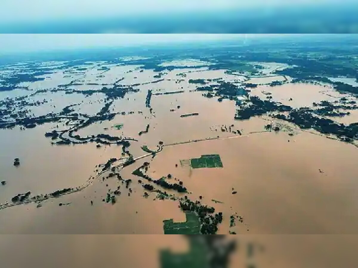 Odisha Flood Update: ବନ୍ୟାରେ ଧୋଇଗଲା ବର୍ଷକର ଚାଷ, ମୁଣ୍ଡରେ ହାତ ଦେଲାଣି ଚାଷୀ