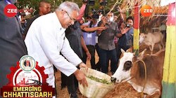 भूपेश बघेल के छत्तीसगढ़ मॉडल की दुनिया में धूम, पीएम मोदी भी कर चुके हैं तारीफ