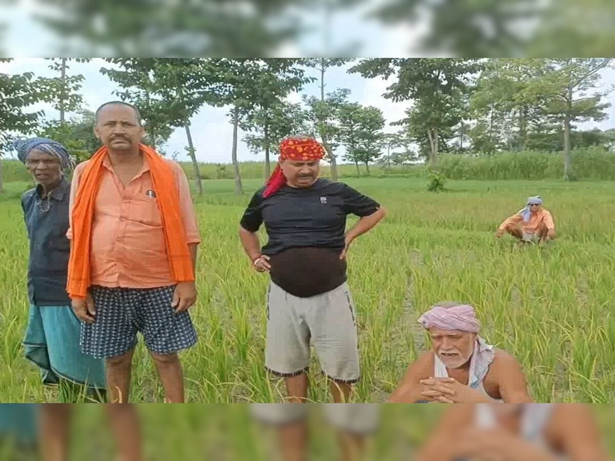 Bihar News: बारिश की कमी से खेतों में पड़ने लगे दरार, किसानों ने सरकार से की ये मांग