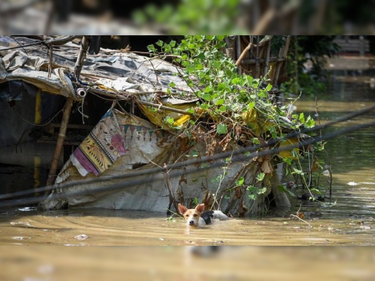 odisha flood: ବନ୍ୟା ବେଳେ ବଢିଲା ଜଳବାହିତ ରୋଗ ସମସ୍ୟା