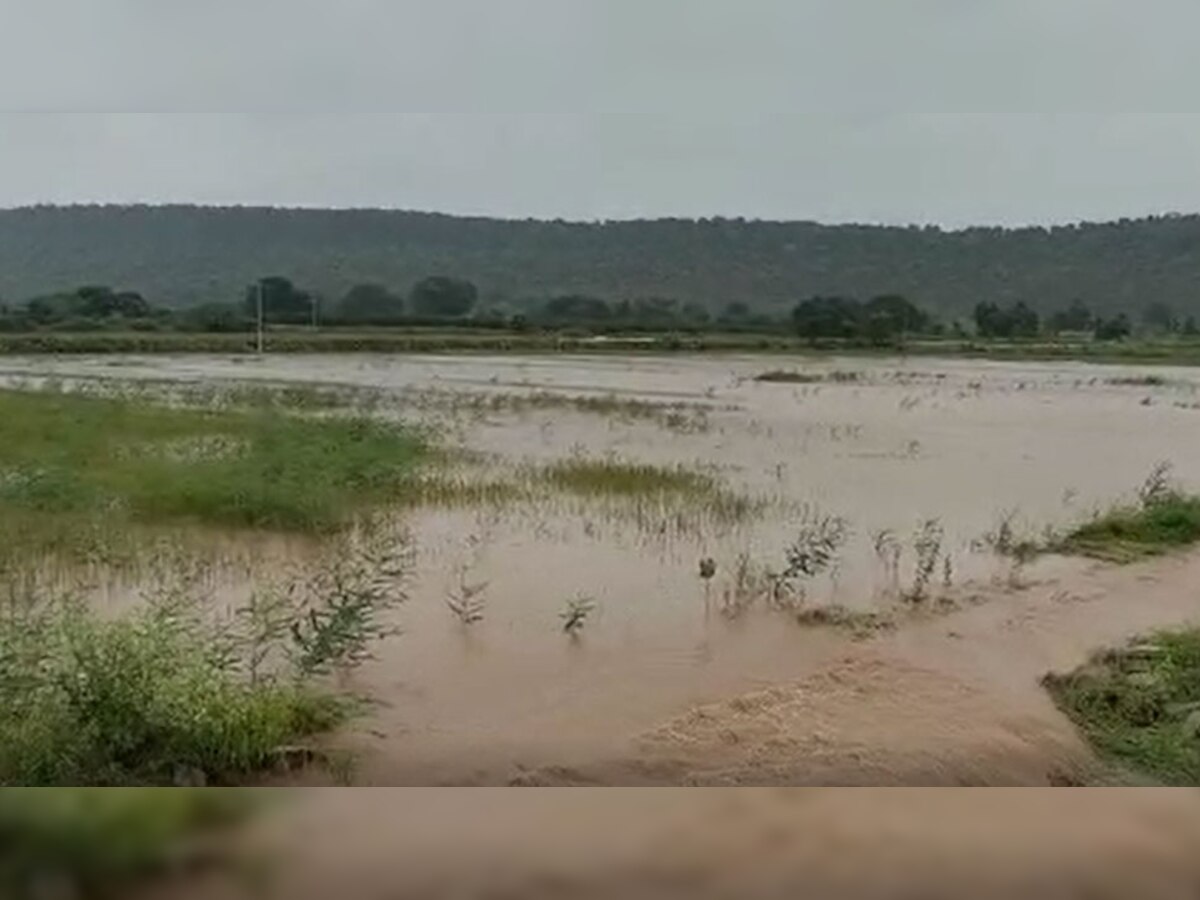 खेतों में हुआ भारी नुकसान