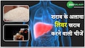 लिवर को अंदर से सड़ा देते हैं ये फूड, स्वस्थ रहने के लिए जरूर देखें ये वीडियो