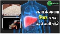 लिवर को अंदर से सड़ा देते हैं ये फूड, स्वस्थ रहने के लिए जरूर देखें ये वीडियो