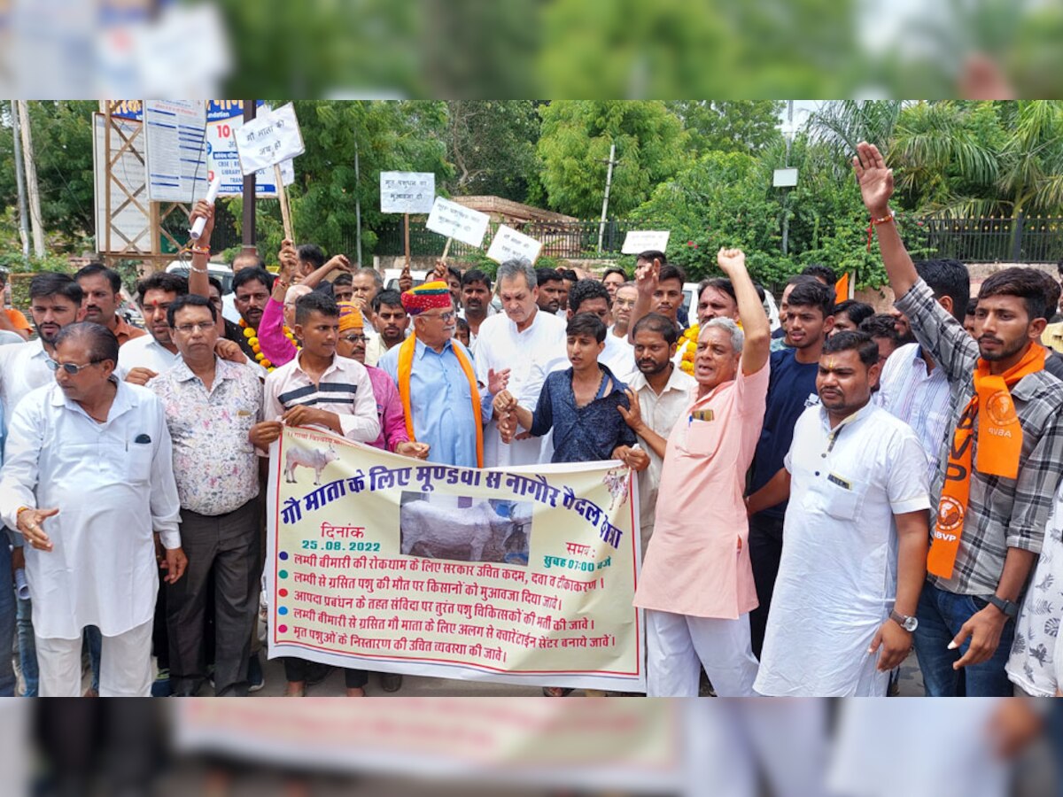 नागौर में भाजपा नेता बोले- लंपी से संक्रमित गयों को नहीं बचाया तो कर लूंगा आत्मदाह
