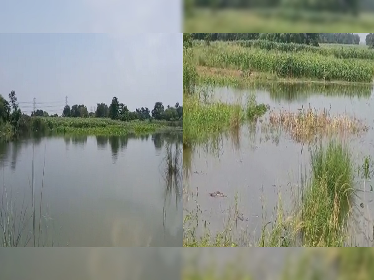 Bihar Flood: लखीसराय में गंगा नदी का बढ़ रहा जलस्तर, पलायन करने को किसान मजबूर 