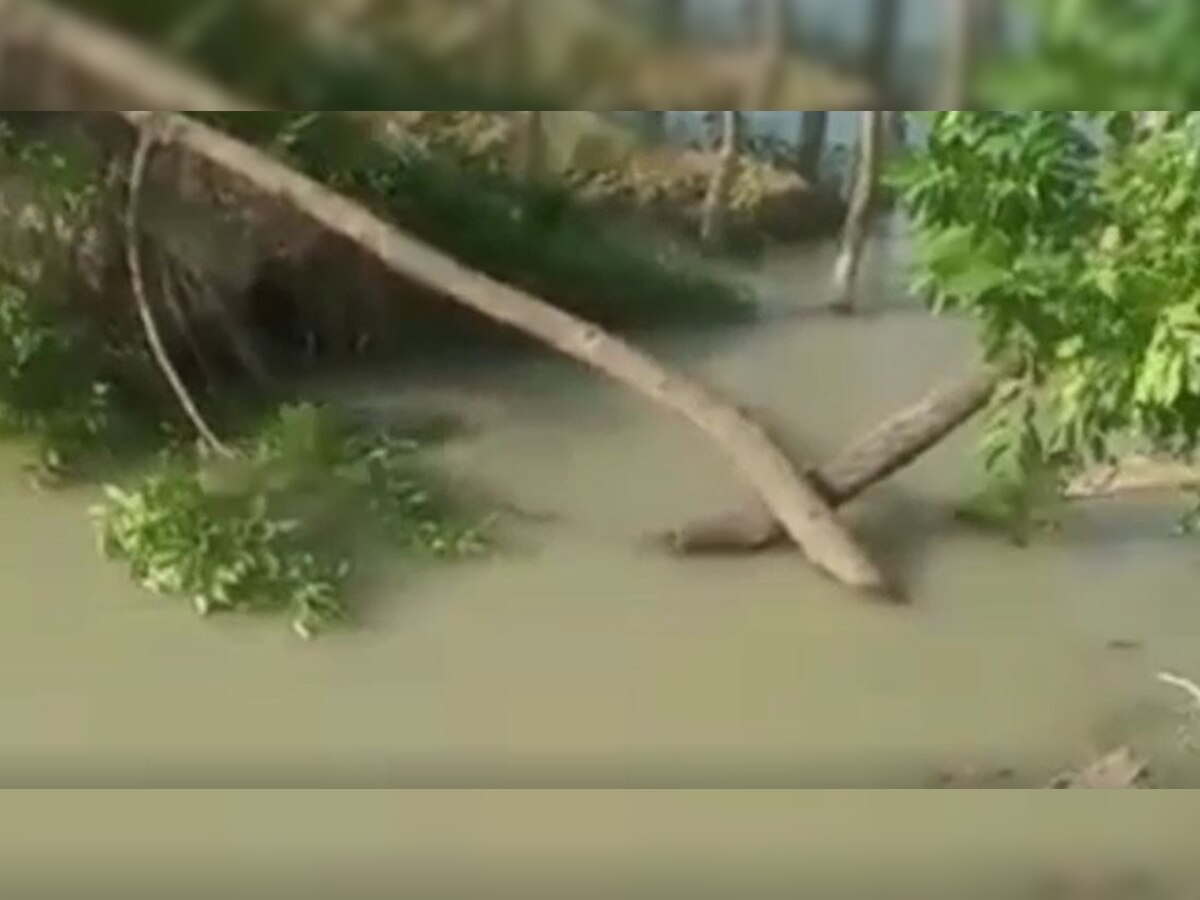 बिहार के साहेबगंज में बांध टूटने से 50 हेक्टेयर धान के खेतों में भरा पानी