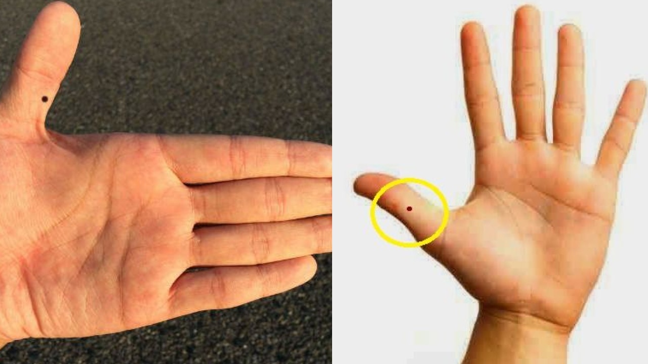 mole-on-thumb-meaning-in-hindi-know-their-nature-and-effect-on-life