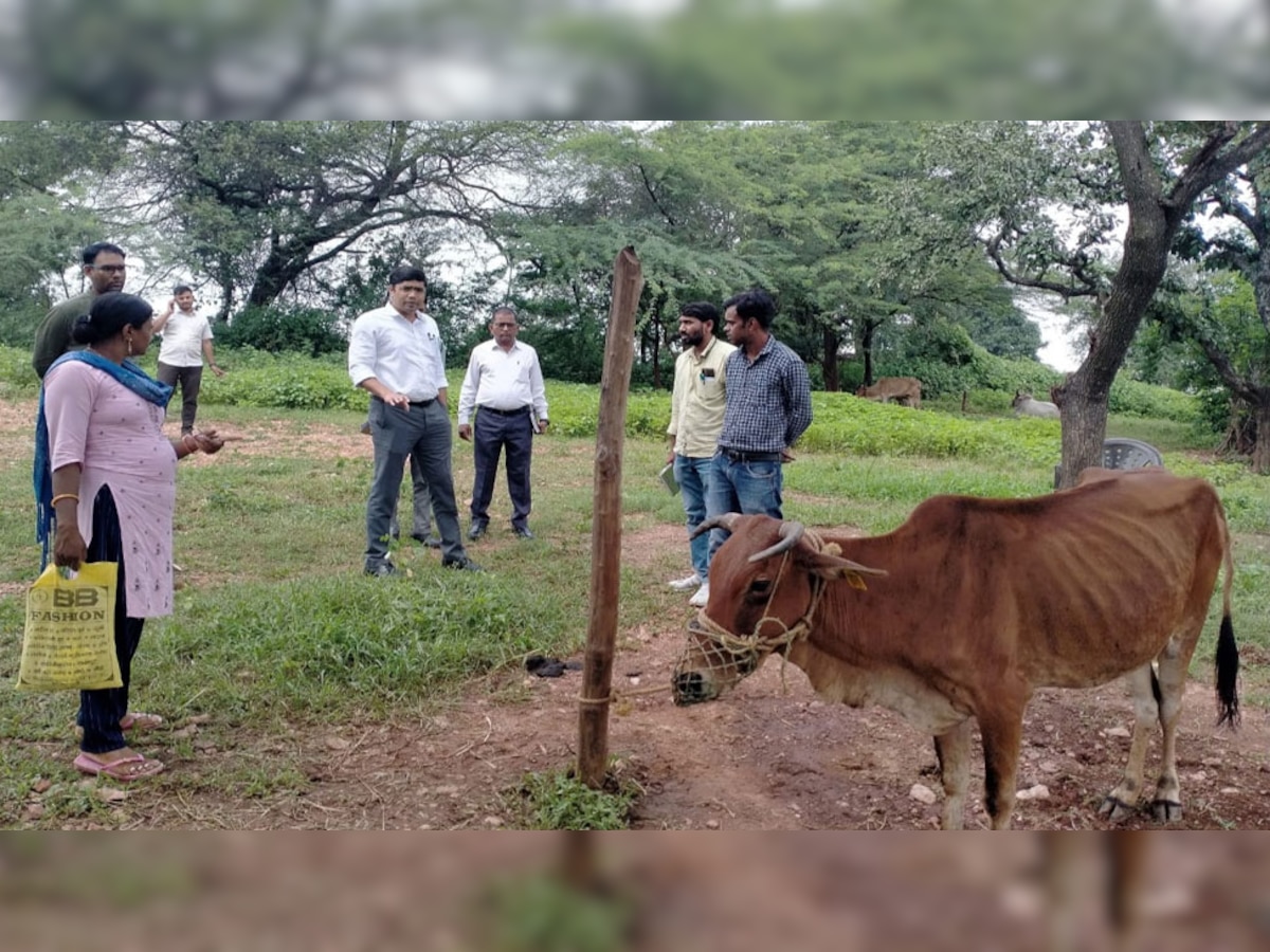 डूंगरपुर: DM डॉ इन्द्रजीत यादव लंपी संक्रमित क्षेत्रों के दौरे पर, पशुपालकों से किया संवाद