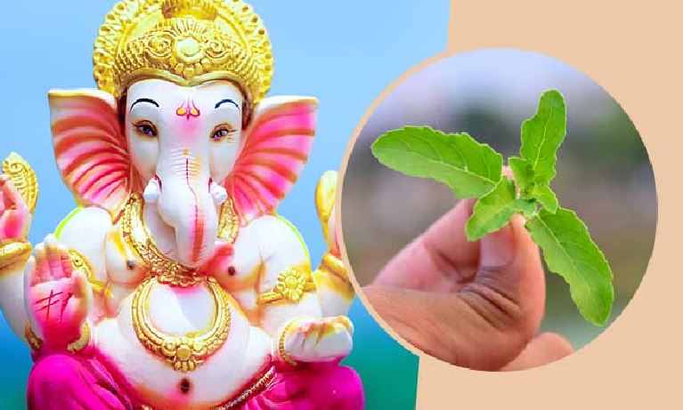 Ganesh Chaturthi 2022: गणेश जी की पूजा में भूलकर भी न चढ़ाएं तुलसी, जानिए क्यों है वर्जित