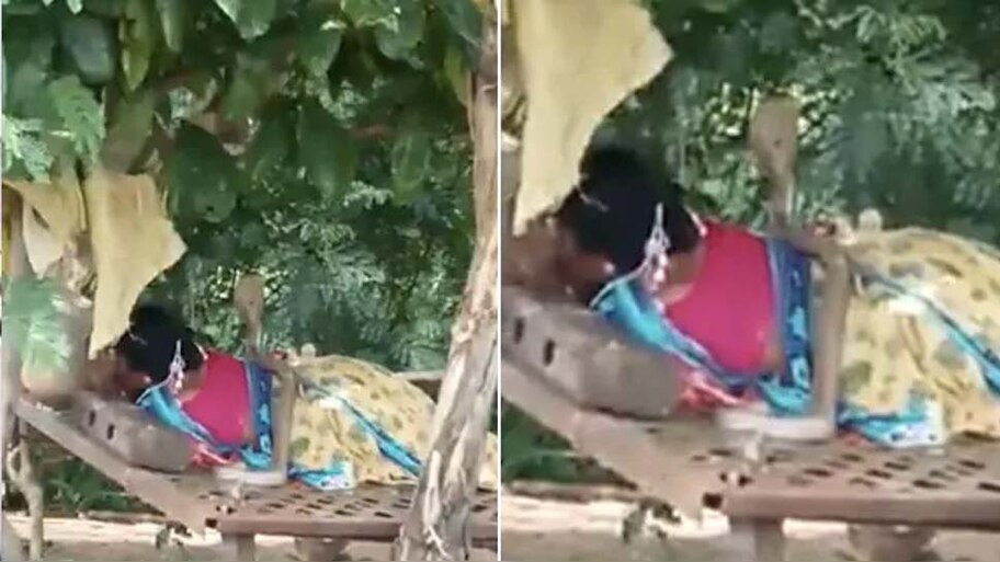 चारपाई पर सो रही महिला के शरीर पर फन काढ़कर बैठ गया कोबरा; वीडियो देख रुक जाएंगी सांसें