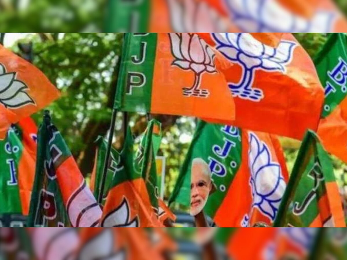 MP में BJP की सत्ता-संगठन में खाली पद भरने की तैयारी, बड़े नेता ने दिए संकेत 
