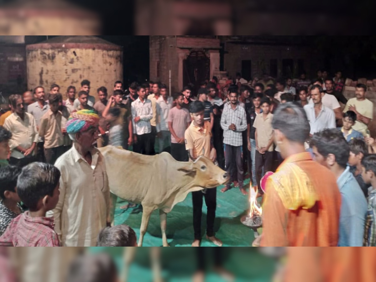 भोपालगढ़ः गोमाता के नाम भजन संध्या आयोजित, लम्पी बीमारी से गायों के इलाज के लिए जुटाए 3.50 लाख