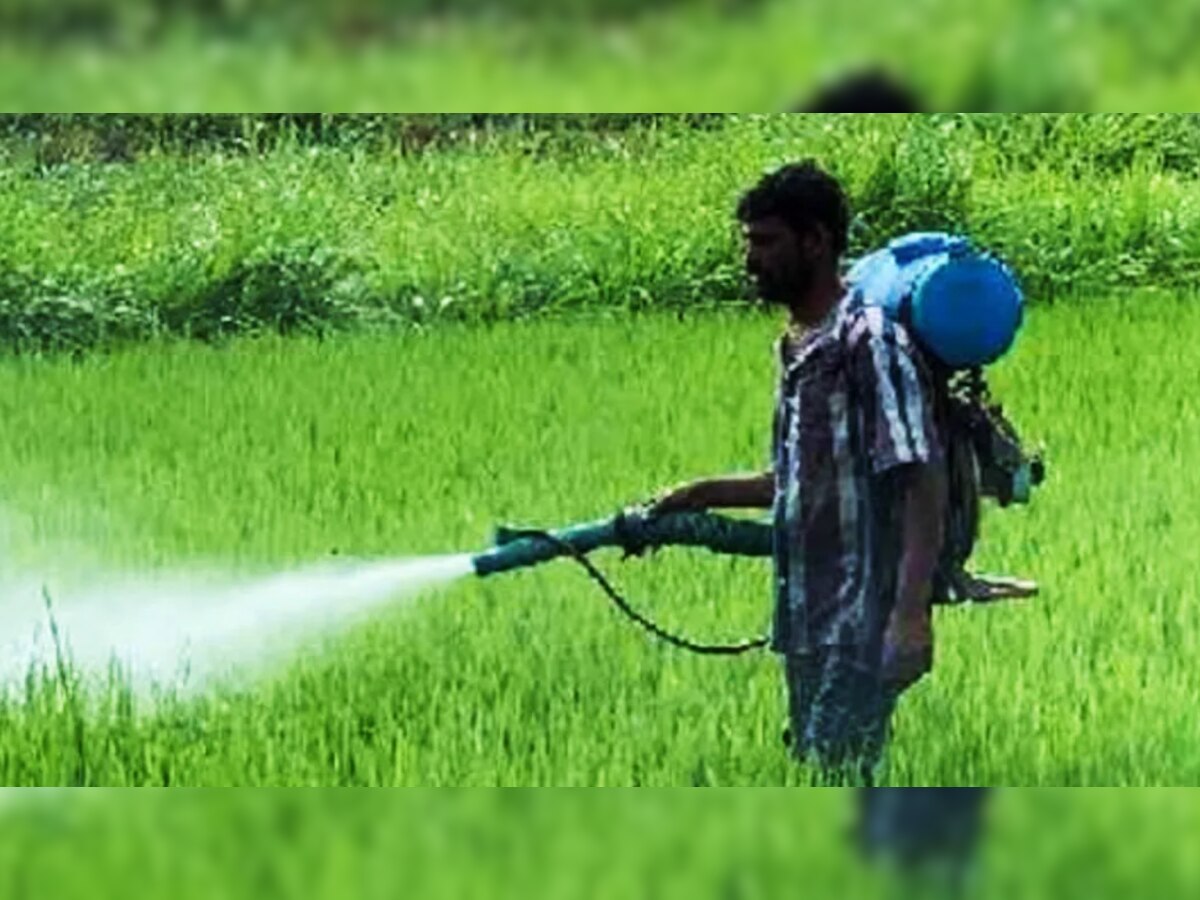 इन 10 कीटनाशकों पर लगाए सरकार ने प्रतिबंध, बेचते पाए गए तो होगी कार्रवाई