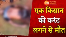 Watch: धान की फसल देखने खेत पर गया था क‍िसान, करंट से हुई दर्दनाक मौत 