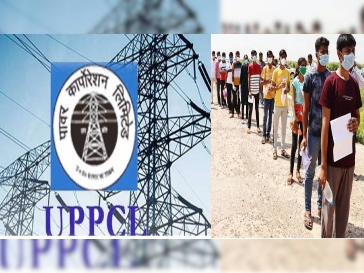 UPPCL Recruitment 2022: एग्जीक्यूटिव असिस्टेंट समेत कई पदों पर निकली  बंपर भर्ती, जल्दी करें आवेदन