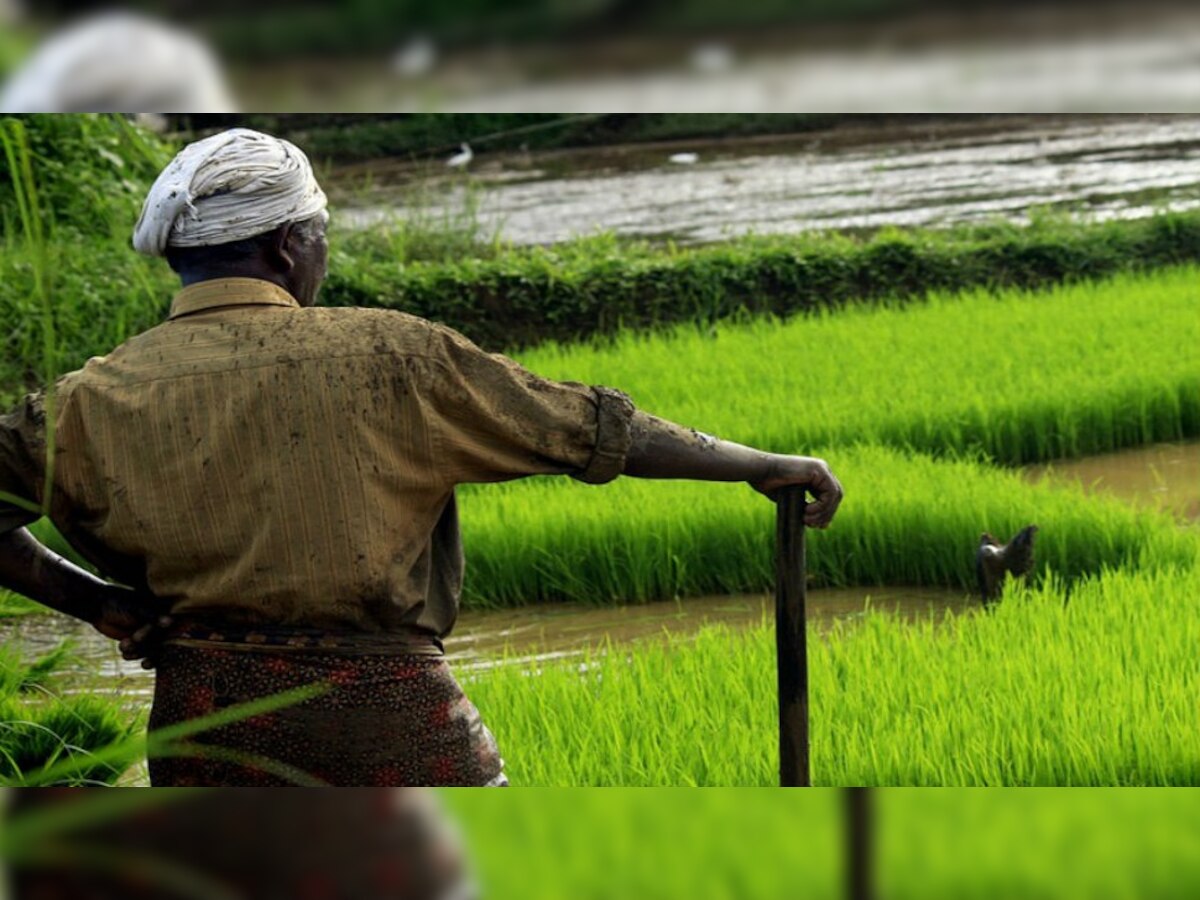 नालों के पानी से लहलहाएंगी किसानों की फसलें, जलशक्ति मंत्री ने अधिकारियों को दिए ये निर्देश