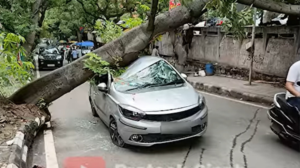 Tata tigor accident video tree falls on sedan car know passengers ...