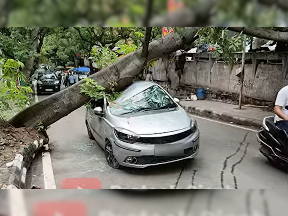 Car Accident: इसे कहते हैं मजबूती! Tata Tigor पर गिर गया भारी-भरकम पेड़, पैसेंजर्स का हाल जानकर चौंक जाएंगे