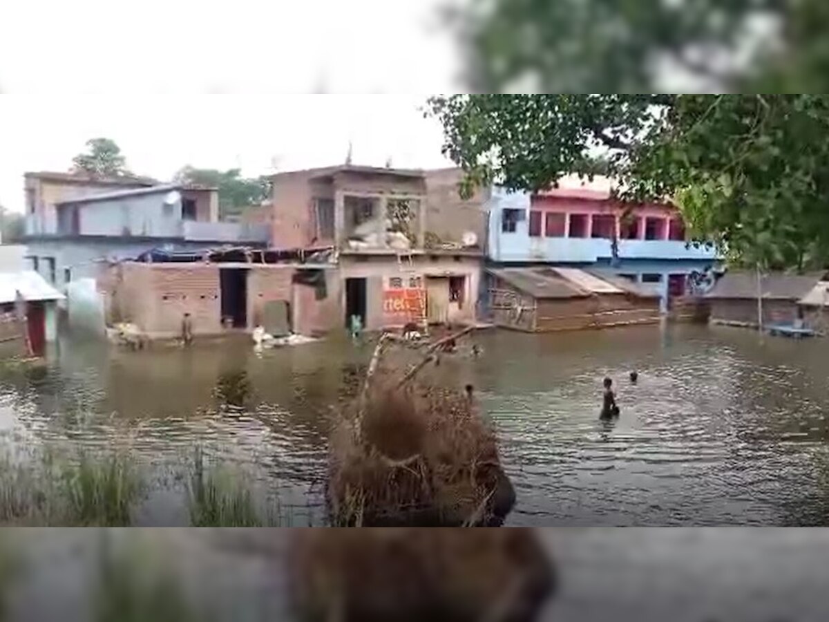 10 दिनों से घरों में घुसा बाढ़ का पानी, न आदमी को खाना मिल रहा न पशुओं को चारा-पानी