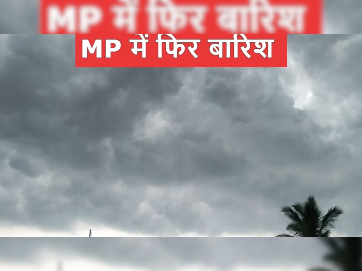 MP Weather: मध्य प्रदेश में तेज बारिश शुरू, कई जगहों पर अलर्ट जारी 