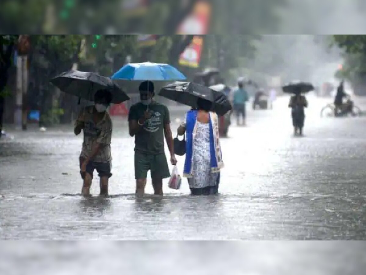 MP Weather: मध्य प्रदेश में मौसम विभाग का अलर्ट, नर्मदापुरम, विदिशा सहित इन 19 जिलों में भारी बारिश