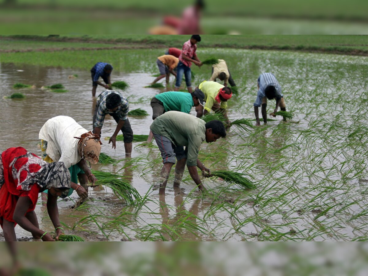 2024 Lok Sabha elections: इस नेता ने किया बड़ा वादा- '2024 में जीतने पर देशभर के किसानों को देंगे मुफ्त बिजली-पानी'
