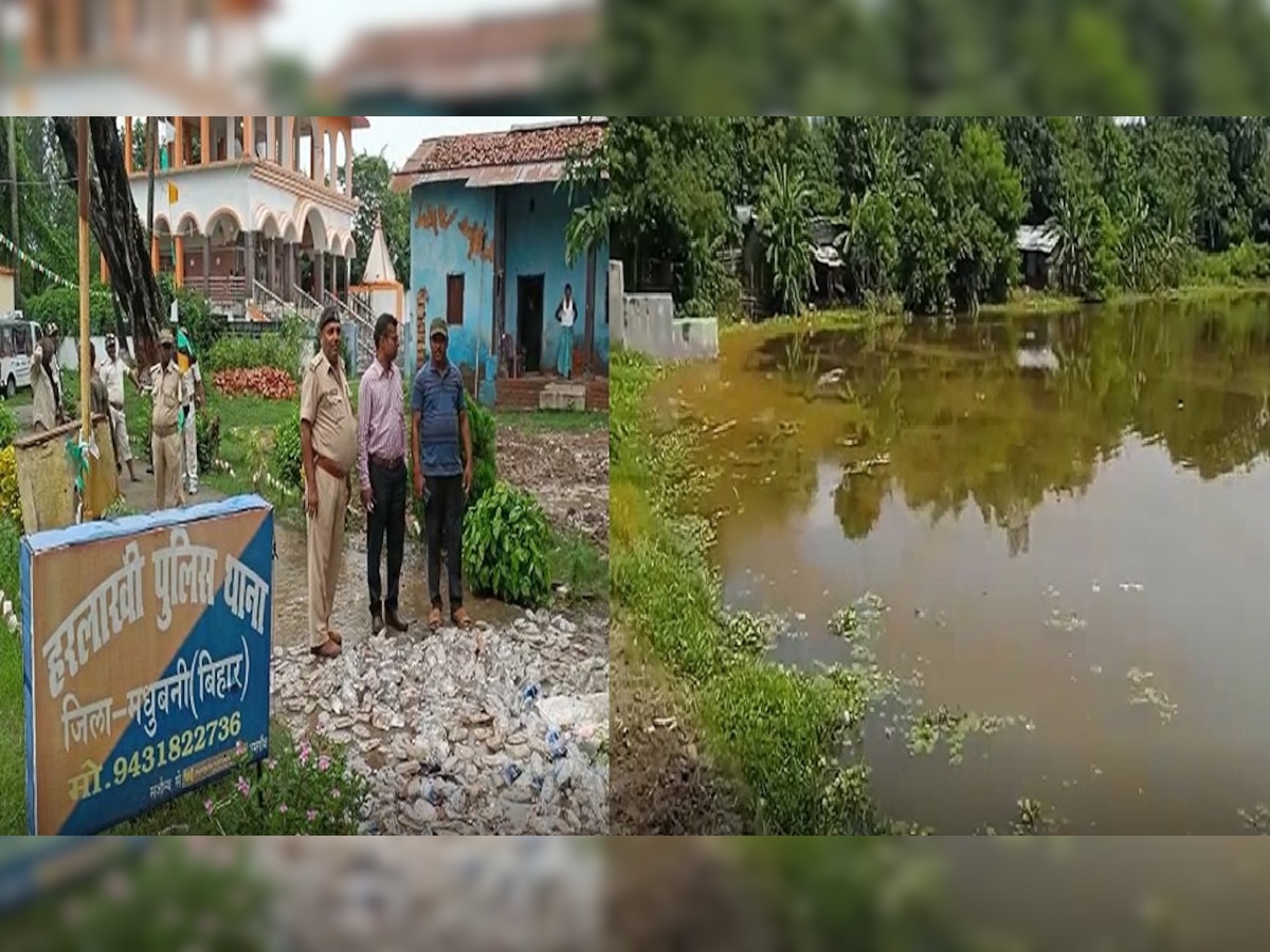 जहरीली शराब पीकर मर गई हजारों मछलियां, मामला जानकर उड़ जाएंगे होश 