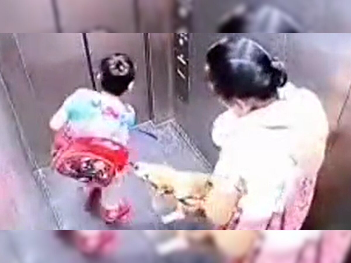 गाजियाबाद : लिफ्ट में बच्चे को कुत्ते ने काटा, काफी देर उछलता रहा मासूम, VIDEO वायरल