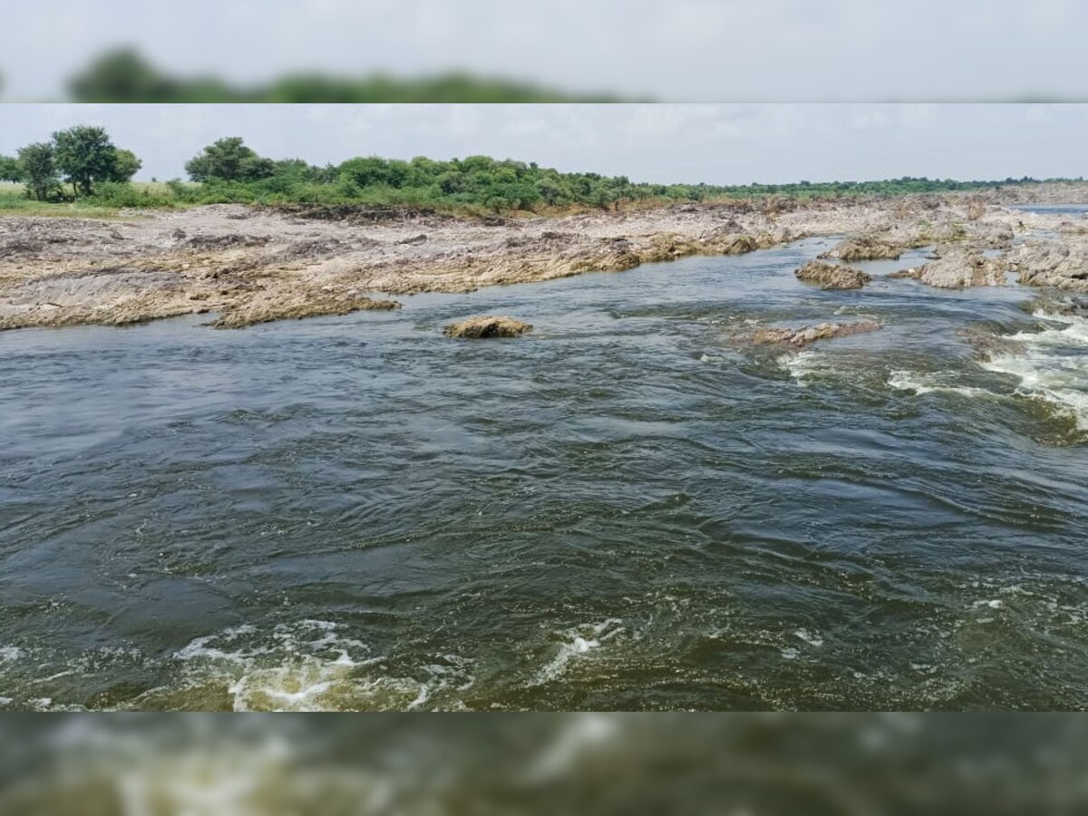 मांडलगढ़: बेड़च नदी में छोड़ा जा रहा केमिकल युक्त पानी, ग्रामीण बोले- मवेशी क्या पिएंगे