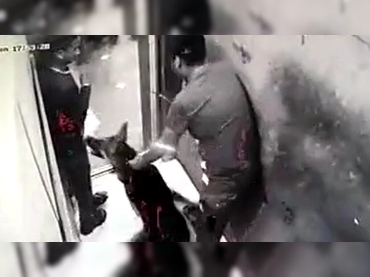 VIDEO : गाजियाबाद के बाद नोएडा की लिफ्ट में कुत्ते का कहर, डिलिवरी ब्वाय को निशाना बनाया