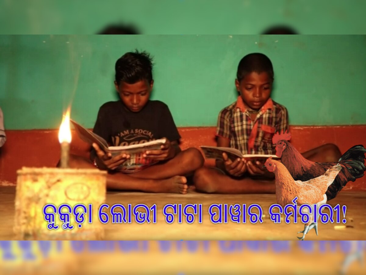 ବିଜୁଳିକୁ ଅଟକାଇଦେଲା କୁକୁଡା, ଦୁଇ ମାସ ହେଲା ଅନ୍ଧାରରେ ରହିଛି ଗାଁ